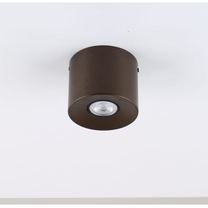 Bodové svietidlo ORION 1xGU10/10W/230V 9 cm hnedé