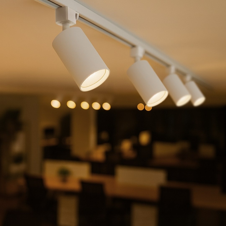 Bodové svietidlo pre jednofázový lištový systém TIGER 1xGU10/10W/230V biele