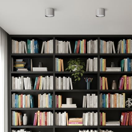 Brilagi - Bodové svietidlo STRIPY 1xGX53/15W/230V strieborné