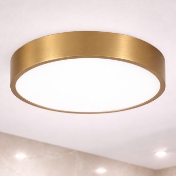 Brilagi - kúpeľňové LED stropné svietidlo POOL LED/36W/230V 3000/4000/5500K priemer 40 cm IP54 bronz