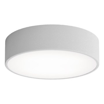 Brilagi - Kúpeľňové stropné svietidlo CLARE 2xE27/24W/230V pr. 30 cm IP54 šedá
