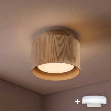 BRILAGI - LED bodové svietidlo BACKLIT 1xGX53/15W/230V + LED/3W pr. 10 cm dubový dekor