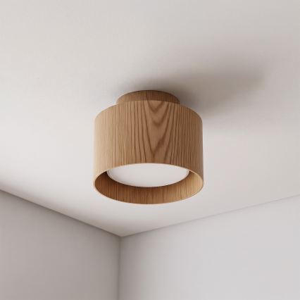 BRILAGI - LED bodové svietidlo BACKLIT 1xGX53/15W/230V + LED/3W pr. 10 cm dubový dekor