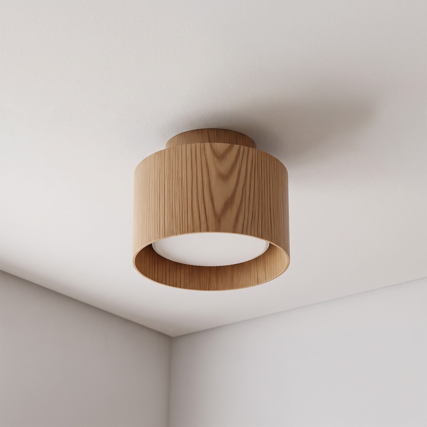 BRILAGI - LED bodové svietidlo BACKLIT 1xGX53/15W/230V + LED/3W pr. 10 cm dubový dekor