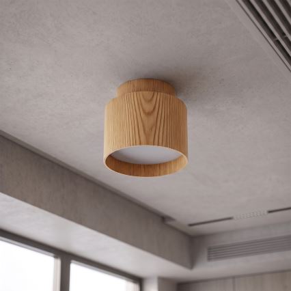 BRILAGI - LED bodové svietidlo BACKLIT 1xGX53/15W/230V + LED/3W pr. 8 cm v dubovom dekore