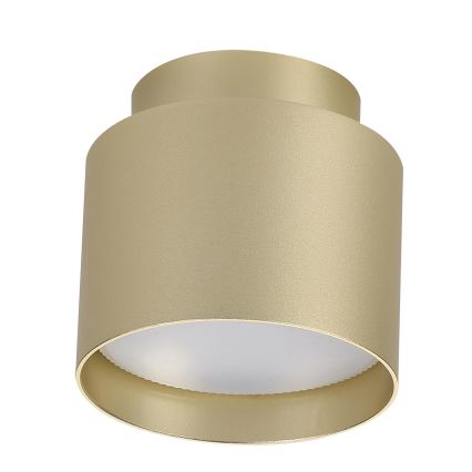 BRILAGI - LED bodové svietidlo BACKLIT 1xGX53/15W/230V + LED/3W pr. 8 cm zlaté