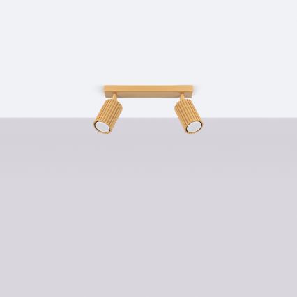 Brilagi - LED bodové svietidlo CRESTO 2xGU10/10W/230V zlaté