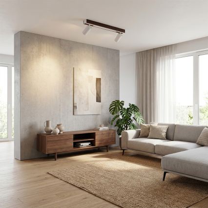 BRILAGI - LED Bodové svietidlo SELE 2xGU10/30W/230V + LED/15W biela/dekor čerešne