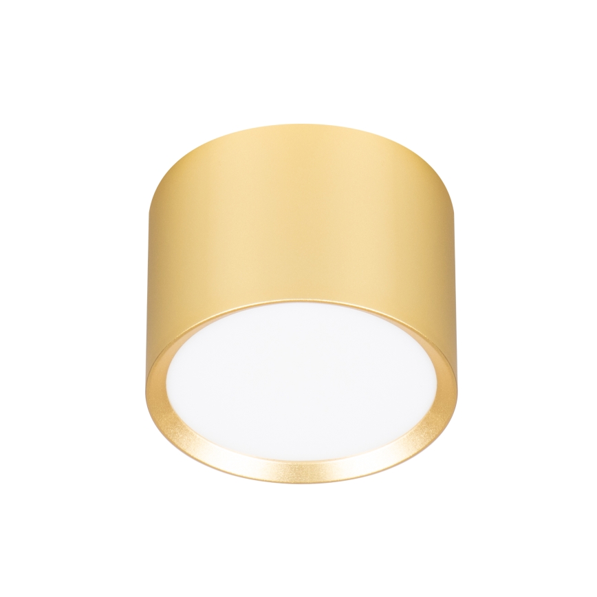 BRILAGI - LED Bodové svietidlo SMOOTH 1xGX53/15W/230V 60x82 mm zlaté