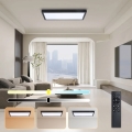 Brilagi - LED Dimmable stropné svietidlo FRAME SMART LED/30W/230V 30x60 cm 3000-6000K IP44 čierna + diaľkové ovládanie
