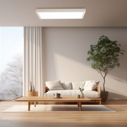 Brilagi - LED Dimmovateľné stropné svietidlo FRAME SMART LED/30W/230V 30x60 cm 3000-6000K IP44 biela + diaľkové ovládanie
