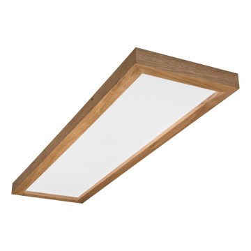 Brilagi - LED Kúpeľňové stropné osvetlenie WOODY FRAME LED/50W/230V 120x30 cm IP44 dub
