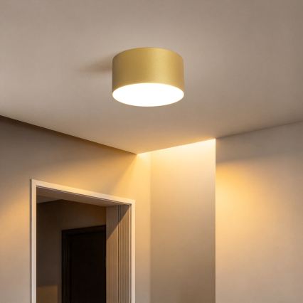 BRILAGI - LED Kúpeľňové stropné svietidlo FORIS LED/14W/230V priemer 12 cm zlaté IP44