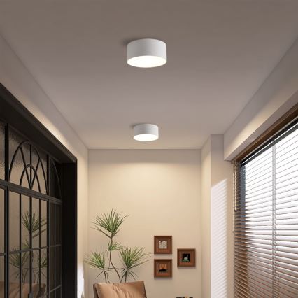 Brilagi - LED kúpeľňové stropné svietidlo FORIS LED/20W/230V pr. 15 cm biele IP44