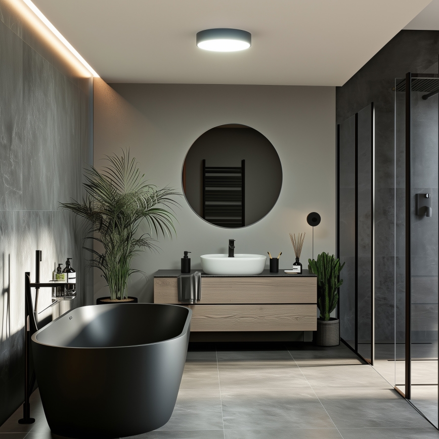 Brilagi - LED kúpeľňové stropné svietidlo POOL LED/24W/230V 3000/4000/5500K priemer 30 cm IP54 čierna