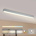 Brilagi - LED kúpeľňové stropné svietidlo SLEEKLINE LED/40W/230V 3000/4500/6000K strieborné IP44