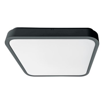 Brilagi - LED kúpeľňové stropné svietidlo so senzorom ZENNA LED/24W/230V 34,5x34,5 cm IP44 antracit + diaľkové ovládanie