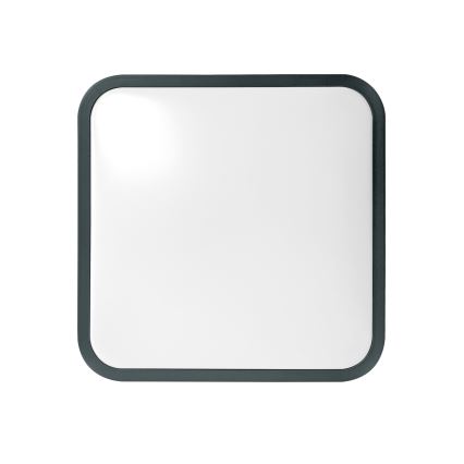 Brilagi - LED kúpeľňové stropné svietidlo so senzorom ZENNA LED/24W/230V 34,5x34,5 cm IP44 antracit + diaľkové ovládanie