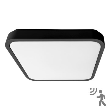 BRILAGI - LED Kúpeľňové stropné svietidlo so senzorom ZENNA LED/36W/230V 41,5x41,5 cm IP44 čierna + diaľkové ovládanie