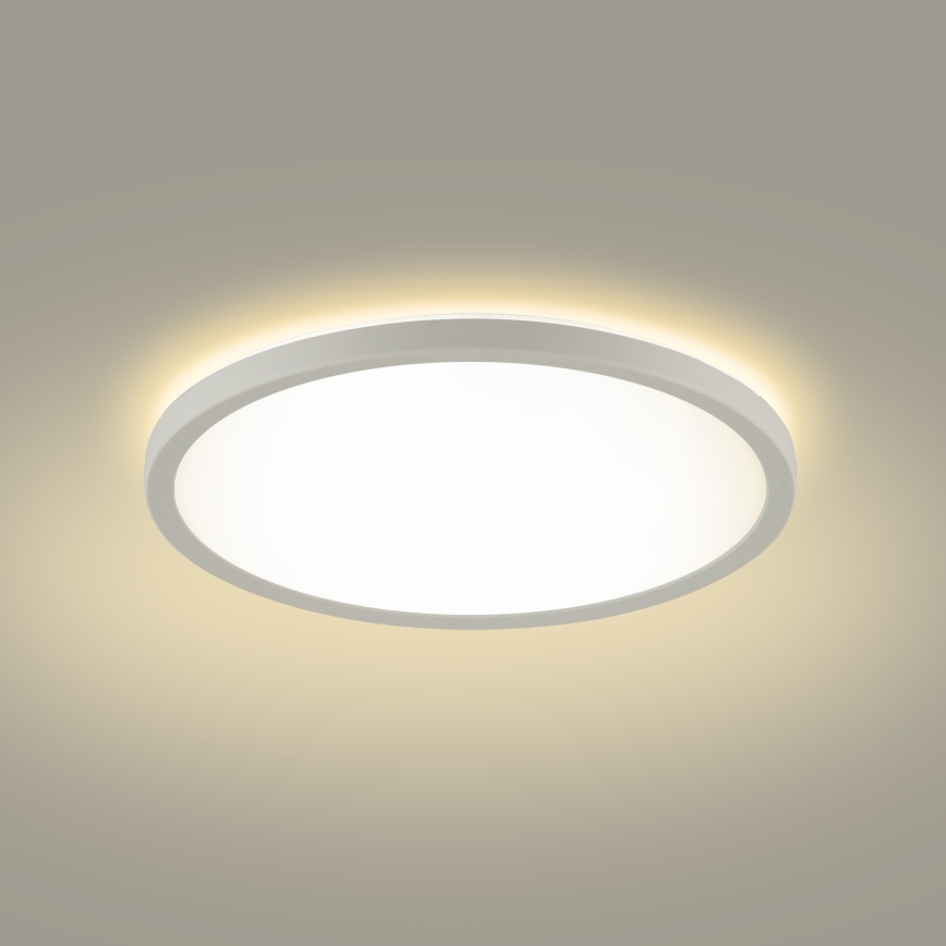 Brilagi - LED Kúpeľňové stropné svietidlo ULTRA SLIM LED/12W/230V pr. 22,5 cm biela IP54