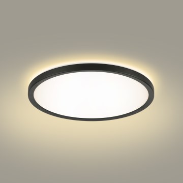 Brilagi - LED Kúpeľňové stropné svietidlo ULTRA SLIM LED/12W/230V pr. 22,5 cm čierna IP54