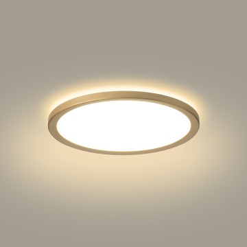 Brilagi - LED kúpeľňové stropné svietidlo ULTRA SLIM LED/12W/230V Ø 22,5 cm zlaté IP54