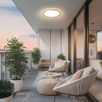 Brilagi - LED kúpeľňové stropné svietidlo ULTRA SLIM LED/18W/230V pr. 30 cm ružovo-zlaté IP54