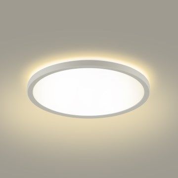 Brilagi - LED Kúpeľňové stropné svietidlo ULTRA SLIM LED/24W/230V 42x42 cm biela IP54