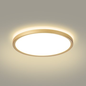 Brilagi - LED kúpeľňové stropné svietidlo ULTRA SLIM LED/24W/230V pr. 42 cm zlaté IP54