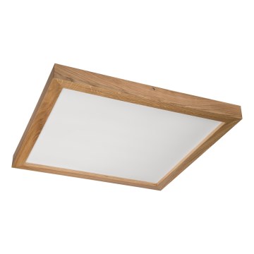 Brilagi - LED Kúpeľňové stropné svietidlo WOODY FRAME LED/40W/230V 60x60 cm IP44 dub