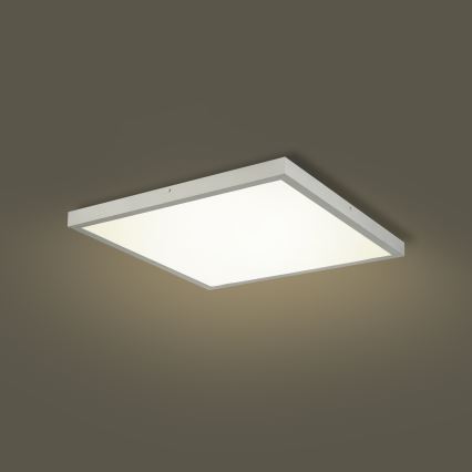 Brilagi - LED Kúpeľňové stropné svietidlo FRAME LED/50W/230V 3000/4000/6000K 60x60 cm IP44 strieborná