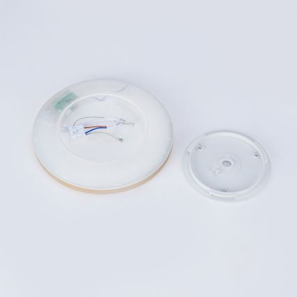 Brilagi - LED kúpeľňové stropné svietidlo ULTRA SLIM LED/12W/230V Ø 22,5 cm zlaté IP54