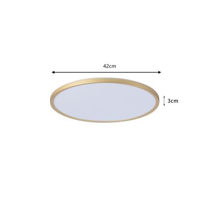 Brilagi - LED kúpeľňové stropné svietidlo ULTRA SLIM LED/24W/230V pr. 42 cm zlaté IP54