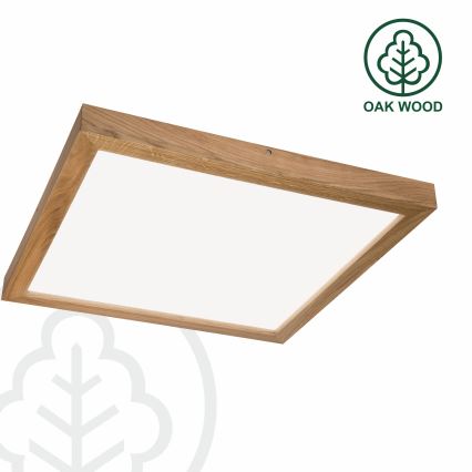 Brilagi - LED Kúpeľňové stropné svietidlo WOODY FRAME LED/40W/230V 60x60 cm IP44 dub