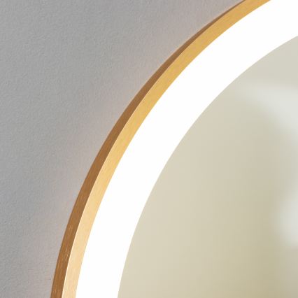 Brilagi - LED Kúpeľňové zrkadlo ERBA LED/25W/230V 50x80 cm zlaté IP44 CRI 90 stmievateľné + CCT