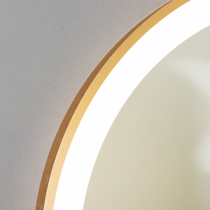 Brilagi - LED Kúpeľňové zrkadlo ERBA LED/25W/230V 50x80 cm zlaté IP44 CRI 90 stmievateľné + CCT