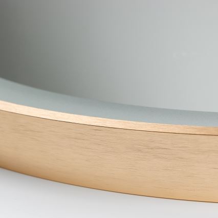 Brilagi - LED Kúpeľňové zrkadlo ERBA LED/25W/230V 50x80 cm zlaté IP44 CRI 90 stmievateľné + CCT