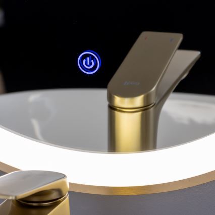 Brilagi - LED Kúpeľňové zrkadlo ERBA LED/25W/230V 50x80 cm zlaté IP44 CRI 90 stmievateľné + CCT