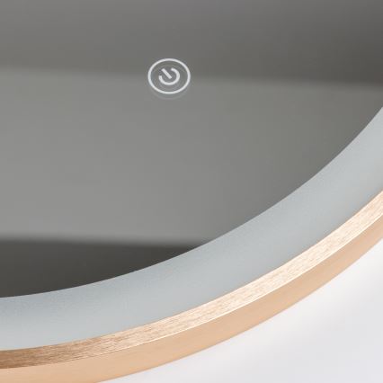 Brilagi - LED Kúpeľňové zrkadlo ERBA LED/25W/230V 50x80 cm zlaté IP44 CRI 90 stmievateľné + CCT