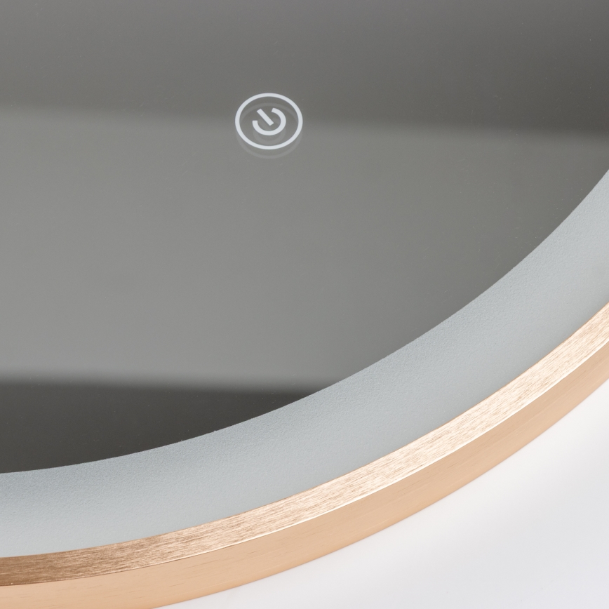 Brilagi - LED Kúpeľňové zrkadlo ERBA LED/25W/230V 50x80 cm zlaté IP44 CRI 90 stmievateľné + CCT