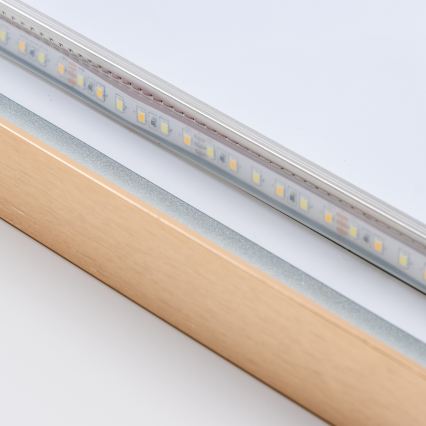 Brilagi - LED Kúpeľňové zrkadlo ERBA LED/25W/230V 50x80 cm zlaté IP44 CRI 90 stmievateľné + CCT