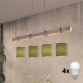 BRILAGI - LED luster na lane NUBILA 4xE27/60W/230V sivá/zelená