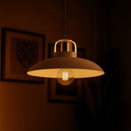 Brilagi - LED Luster na lanku FLAMENGO 1xE27/60W/230V biela