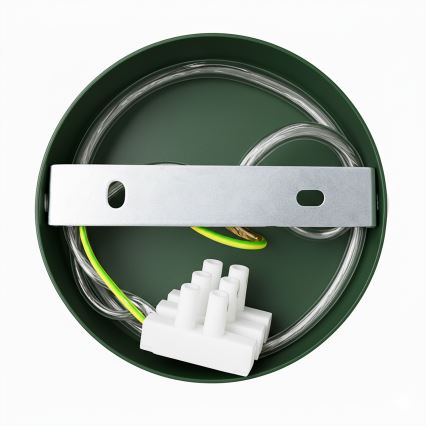 Brilagi - LED Luster na lanku FLAMENGO 1xE27/60W/230V zelená