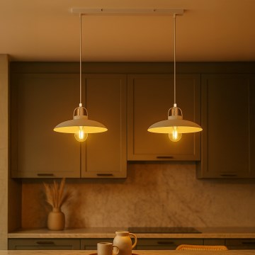 Brilagi - LED Luster na lanku FLAMENGO 2xE27/60W/230V biela