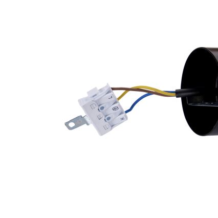 BRILAGI - LED luster na lanku GARDALINE LED/100W/230V dub