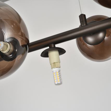 Brilagi - LED luster na lanku MILLA 10xG9/3W/230V hnedá/dymová hnedá