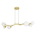 Brilagi - LED Luster na lanku MISTEL 6xG9/3W/230V zlatá/biela