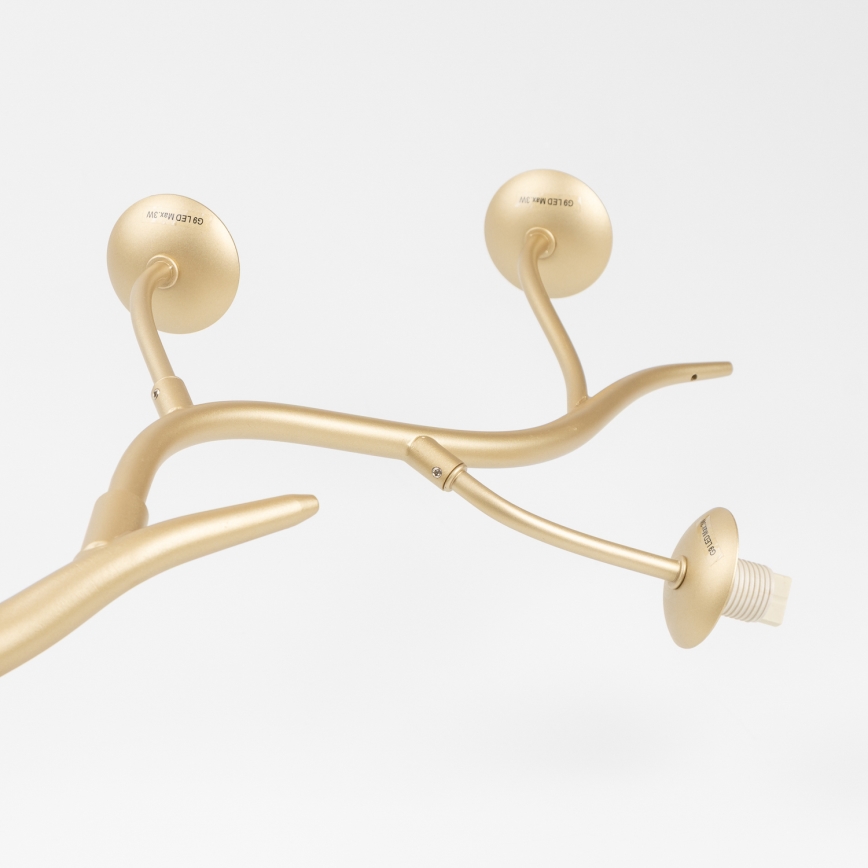 Brilagi - LED Luster na lanku MISTEL 6xG9/3W/230V zlatá