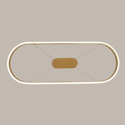 Brilagi - LED luster na lanku PONDIE LED/44W/230V 80x30 cm zlatý